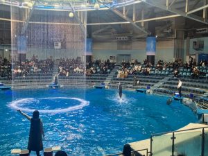 %e3%82%a4%e3%83%ab%e3%82%ab