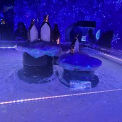 %e5%81%bd%f0%9f%90%a7