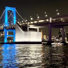 %e3%83%ac%e3%82%a4%e3%83%b3%e3%83%9c%e3%83%bc%e3%83%96%e3%83%aa%e3%83%83%e3%82%b8%e5%a4%9c%e6%99%af